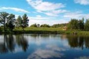 Платная рыбалка в сафари парке Лесные Угодья